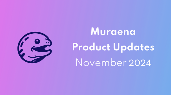 Muraena Product Updates – November 2024: More Targeted and Efficient B2B Lead Generation